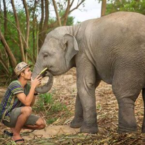 Elephant Jungle Sanctuary Pattaya