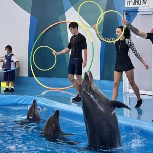 Pattaya Dolphinarium