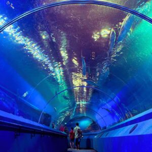 Underwater World Pattaya