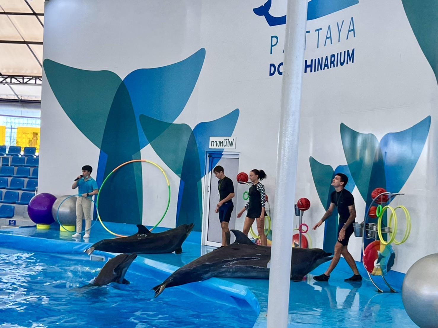 Pattaya Dolphinarium